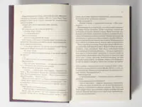 Тріумфальна арка /Еріх Марія Ремарк/ - Зображення 7