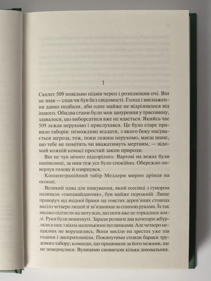 Іскра життя /Еріх Марія Ремарк/ - Зображення 4