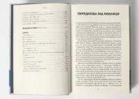 Здобути державу Ізраїль. (Володимир Жаботинський) - Зображення 6