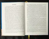 Вінницький ґродський суд. Поточна актова книга за 1768 рік. Подокументний опис /упорядники Петренко О.С., Росовецький О.С./ - Зображення 10