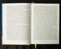 Вінницький ґродський суд. Поточна актова книга за 1768 рік. Подокументний опис /упорядники Петренко О.С., Росовецький О.С./ - Зображення 12