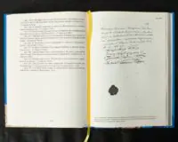 Вінницький ґродський суд. Поточна актова книга за 1768 рік. Подокументний опис /упорядники Петренко О.С., Росовецький О.С./ - Зображення 16