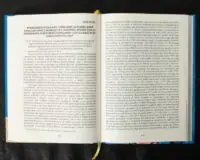 Вінницький ґродський суд. Поточна актова книга за 1768 рік. Подокументний опис /упорядники Петренко О.С., Росовецький О.С./ - Зображення 17