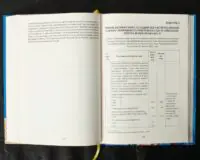 Вінницький ґродський суд. Поточна актова книга за 1768 рік. Подокументний опис /упорядники Петренко О.С., Росовецький О.С./ - Зображення 18
