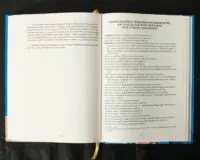 Вінницький ґродський суд. Поточна актова книга за 1768 рік. Подокументний опис /упорядники Петренко О.С., Росовецький О.С./ - Зображення 20