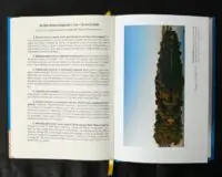 Вінницький ґродський суд. Поточна актова книга за 1768 рік. Подокументний опис /упорядники Петренко О.С., Росовецький О.С./ - Зображення 25