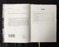 Пригодник. Таємниці Брамура /Яскр/ Велике ілюстроване видання фентезі - Зображення 7