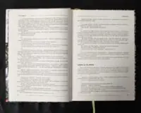 Пригодник. Таємниці Брамура /Яскр/ Велике ілюстроване видання фентезі - Зображення 10