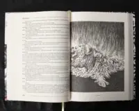 Пригодник. Таємниці Брамура /Яскр/ Велике ілюстроване видання фентезі - Зображення 14
