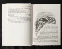 Спогади з Волині, Полісся і Литви. 1840 рік /Ю.І. Крашевський/ (2025) - Зображення 15