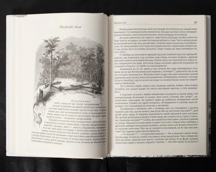 Спогади з Волині, Полісся і Литви. 1840 рік /Ю.І. Крашевський/ (2025) - Зображення 28