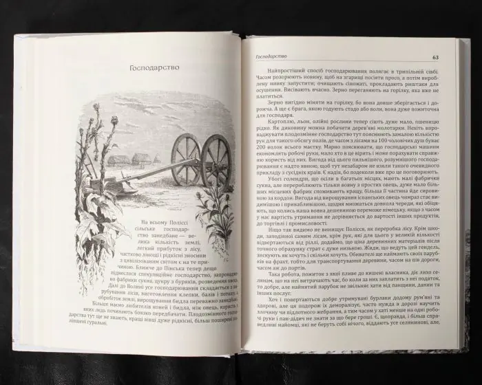 Спогади з Волині, Полісся і Литви. 1840 рік /Ю.І. Крашевський/ (2025) - Зображення 29