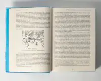 Френсіс Дрейк. Життя та неймовірні пригоди королівського корсара. (Віктор Губарев) - Зображення 14