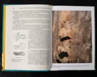 Археологія Сумщини. Пам’ятки селітроварного виробництва Південної Сіверщини XVII ст. /Осадчий Є. М., Коротя О. В./ - Зображення 17