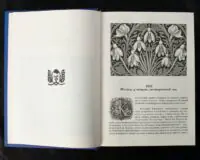 Сумно ангел зітхнув (Наталія Кавера-Безюк). Історичний роман - Зображення 8