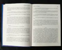 Сумно ангел зітхнув (Наталія Кавера-Безюк). Історичний роман - Зображення 10