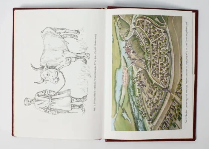 Чернігівська переписна книга 1666 року (Подарункове видання) - Зображення 13