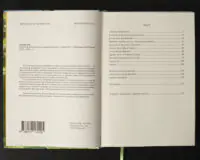 Зміст книги Міста та фортеці вікінгів від Ірландії до Волги Олександр Бондар