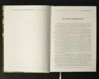 Перший розділ книги Міста та фортеці вікінгів У полоні стереотипів