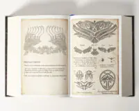 Ілюстрації та символи світу Рошар у книзі Слова Променистого ордену Брендона Сандерсона