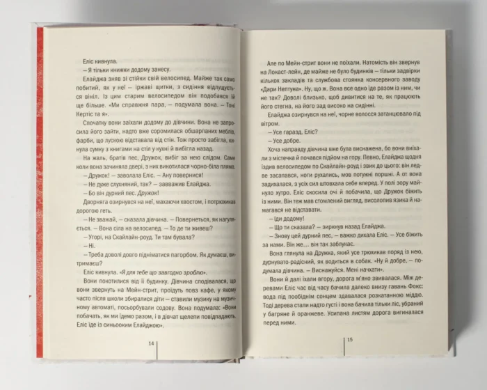 Двійник книга 4 — Тесс Ґеррітсен українською мовою - Зображення 7