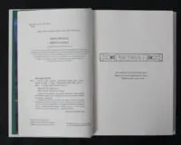 Змія і голуб / Шелбі Мег’юрін / (Видання 2024 року) - Зображення 6