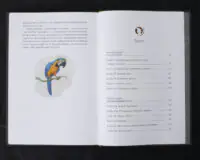 Острів скарбів / Роберт Льюїс Стівенсон / (Видання 2024 року) - Зображення 10