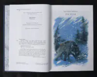 Біле Ікло / Джек Лондон / (Видання 2024 року) - Зображення 4