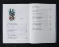Біле Ікло / Джек Лондон / (Видання 2024 року) - Зображення 9