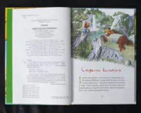 Казки Чарівного лісу / Валько / (Видання 2024 року) - Зображення 5