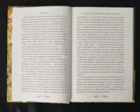 Книга джунглів / Джозеф Редьярд Кіплінг / (Видання 2023 року) - Зображення 9