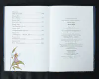 Пітер Пен / Джеймс Метью Баррі / (Видання 2024 року) - Зображення 10