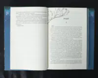 Одна істинна королева. Коронована зорями / Дженніфер Бенкау / (Видання 2024 року) - Зображення 11