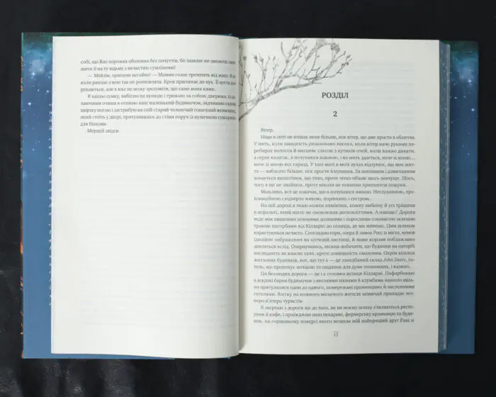 Одна істинна королева. Коронована зорями / Дженніфер Бенкау / (Видання 2024 року) - Зображення 11