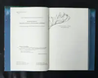 Одна істинна королева. Коронована зорями / Дженніфер Бенкау / (Видання 2024 року) - Зображення 7