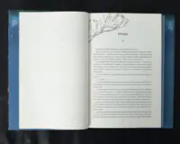 Одна істинна королева. Коронована зорями / Дженніфер Бенкау / (Видання 2024 року) - Зображення 8
