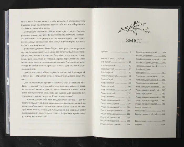Пісня вічних дощів / Е. Дж. Меллов / (Видання 2024 року) - Зображення 10
