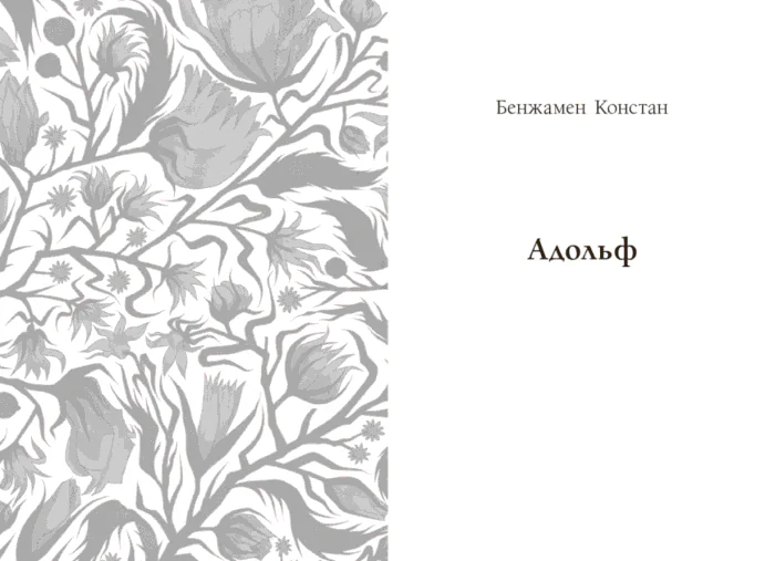 Принцеса Клевська. Адольф /Бенджамін Констан, Марі-Мадлен де Лафаєтт/ - Зображення 7