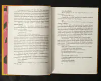 Вернон Господь Літтл / ДіБіСі П‘єр / (Видання 2020 року) - Зображення 10