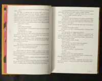 Вернон Господь Літтл / ДіБіСі П‘єр / (Видання 2020 року) - Зображення 11