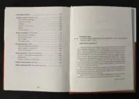 Сад Гетсиманський. Тигролови / Іван Багряний / (Видання 2022 року) - Зображення 11