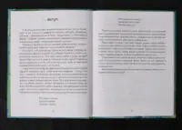 Пригоди карпатських гуциків / Богдана Крип’якевич / (Видання 2024 року) - Зображення 6