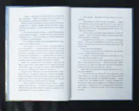 Поліанна / Елеонор Портер / (Видання 2024 року) - Зображення 7