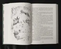 Пісня Ловихвоста / Тед Вільямс / (Видання 2022 року) - Зображення 10