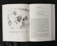 Пісня Ловихвоста / Тед Вільямс / (Видання 2022 року) - Зображення 11
