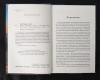Дівчина в Карпатах - Зображення 5