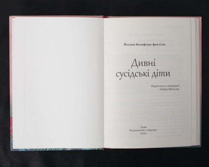 Дивні сусідські діти / Ґете Йоганн Вольфґанґ фон / (Видання 2020 року) - Зображення 4