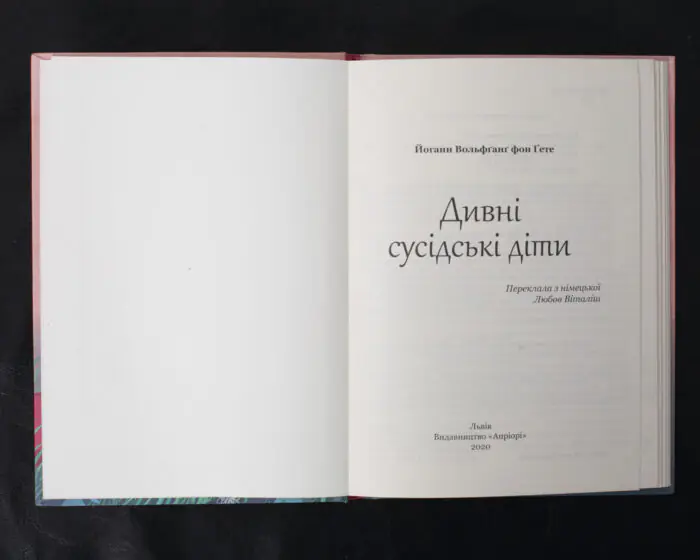 Дивні сусідські діти / Ґете Йоганн Вольфґанґ фон / (Видання 2020 року) - Зображення 4