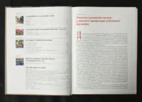Енциклопедія художнього металу. Том І. Світовий та український художній метал. Класифікація. Термінологія. Стилістика. Експертиза / Шмагало Ростислав / (Видання 2015 року) - Зображення 5