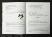 Песик Гав, соловейко, джміль і два жолуді / Василь Шкляр / (Видання 2016 року) - Зображення 9